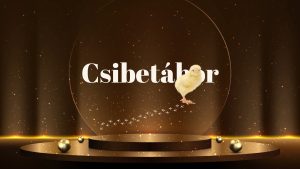 Csibetábor-első nap