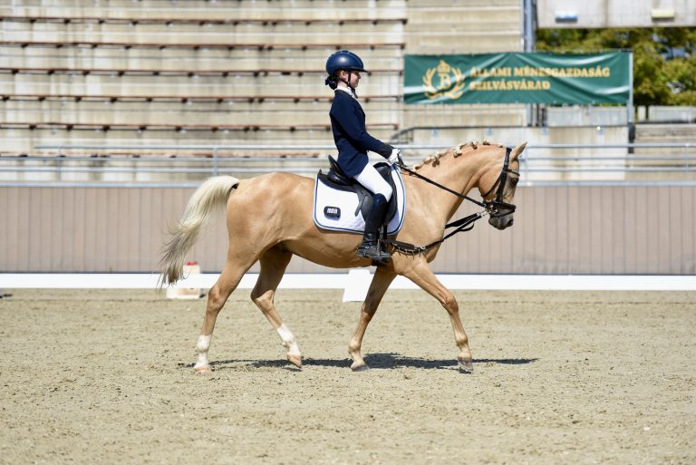 🎉 Siker a nyeregben – Váradi Natasa díjlovagló eredményei 🐎