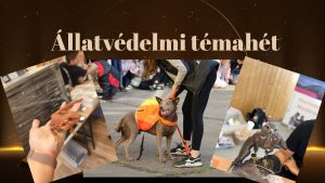 Állatvédelmi témahét lelkesen a Zelkben