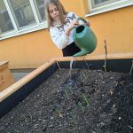 Tavaszi munkálatok az iskolakertben