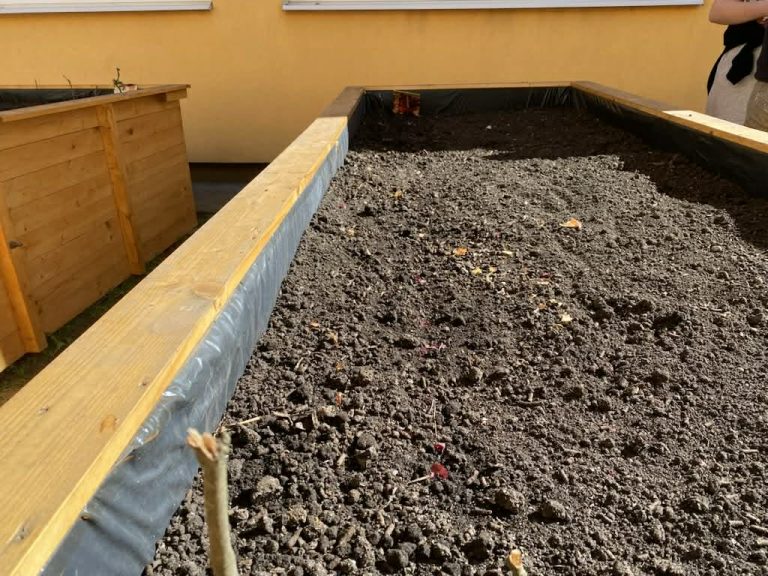 Tavaszi munkálatok az iskolakertben
