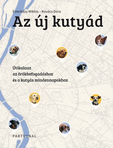 Az új kutyád